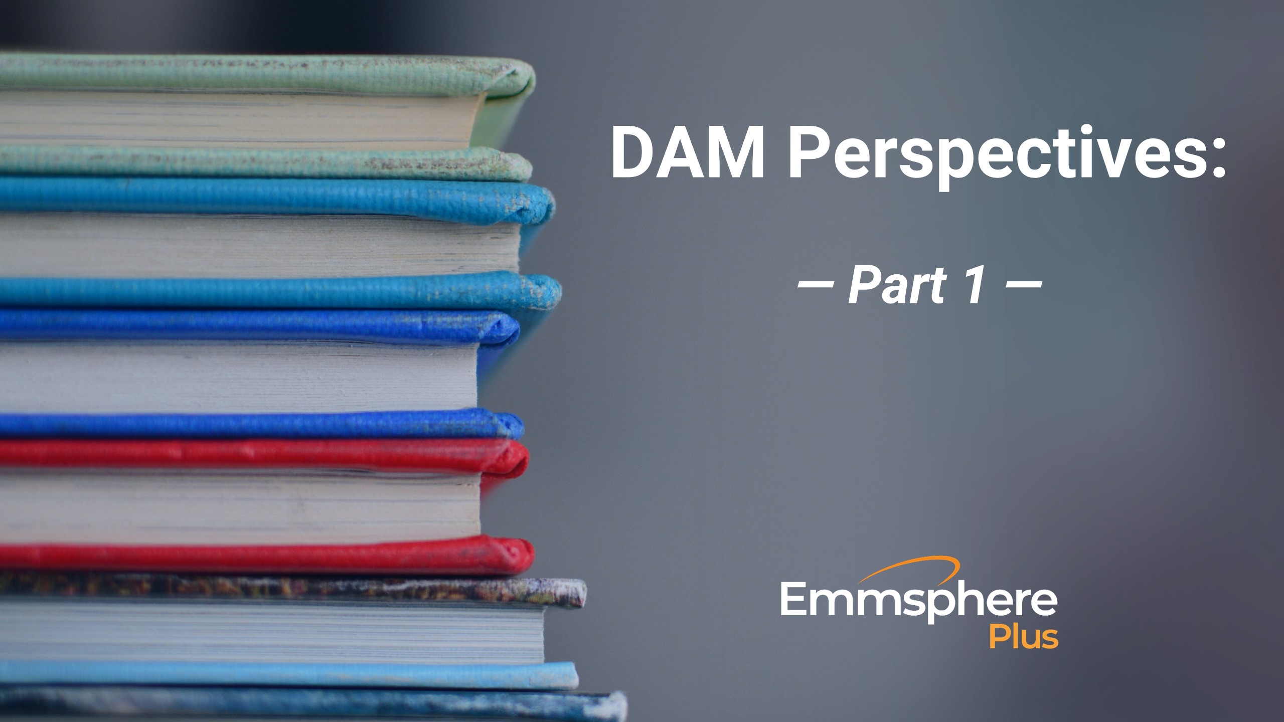 DAM Perspectives – Part 1