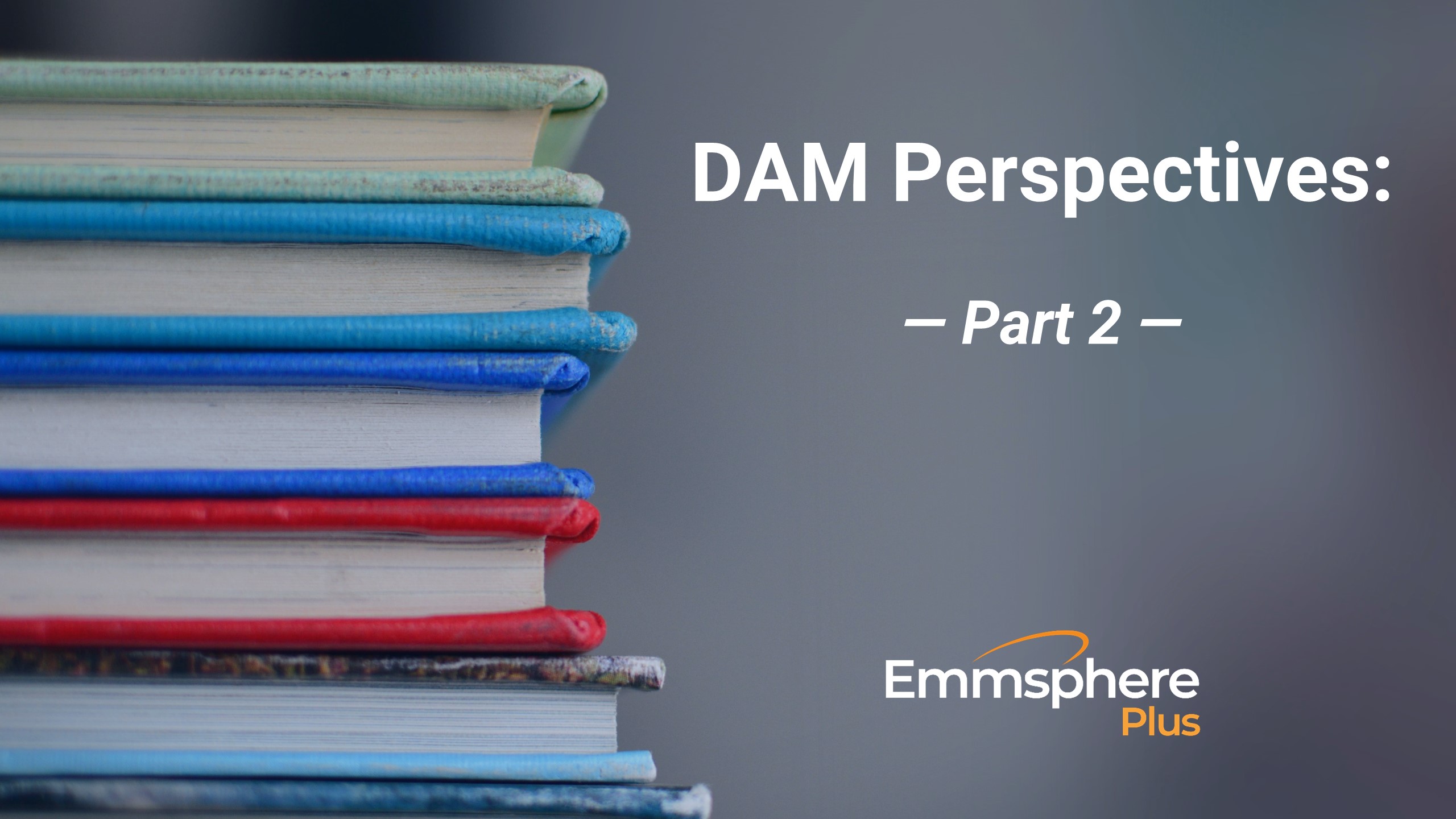 DAM Perspectives – Part 2